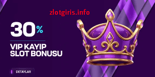 zlot guncel giris